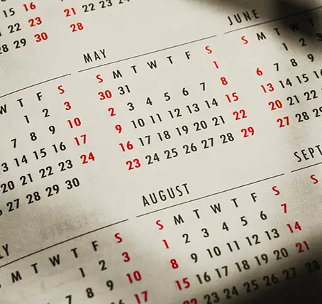 Calendar view of the year