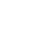 Levy Since 1918 Solutions for your Environment logo